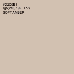 #D2C0B1 - Soft Amber Color Image